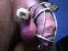 Chastity Cage Locked On